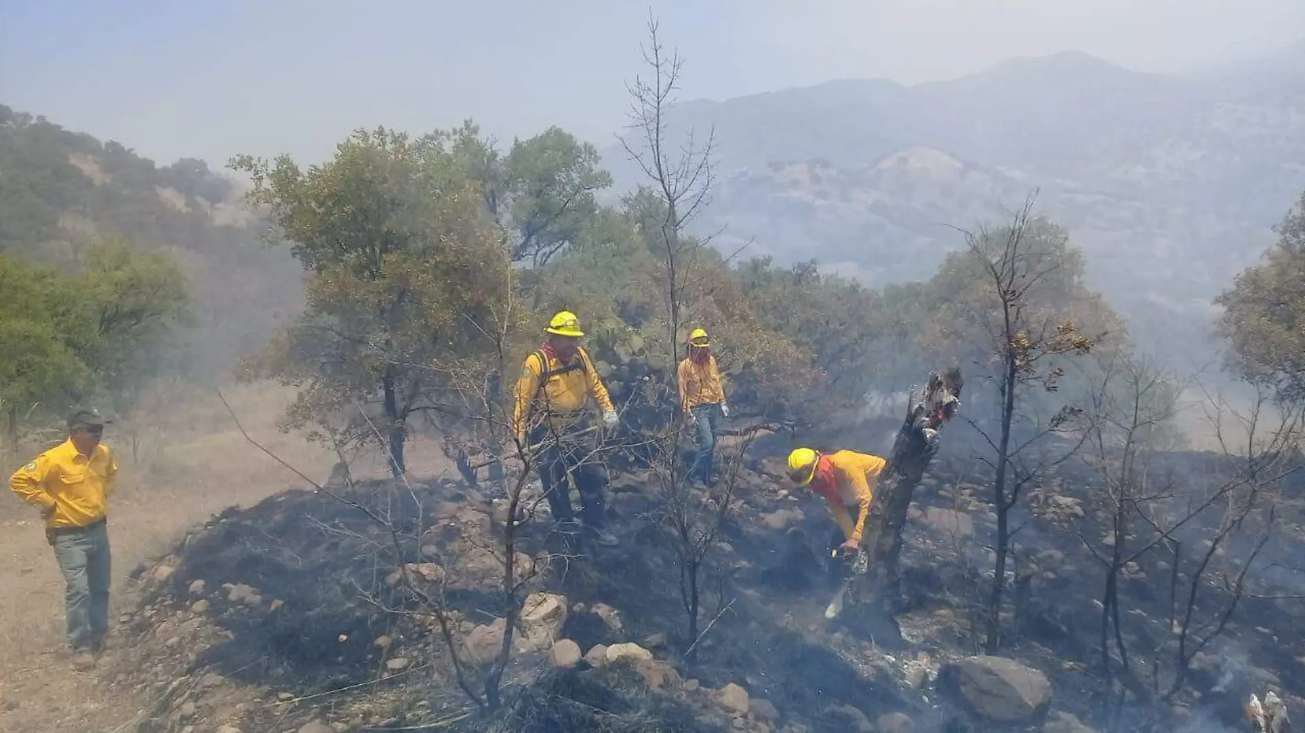 Incendio Forestal 